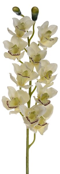 Set 2 Cymbidium Artificiale Real Touch con 10 Fiori e 2 Bocci Altezza 92 cm Bianco