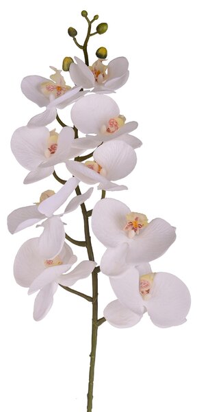 Set 2 Phalenopsis Artificiali con 9 Fiori Altezza 110 cm Bianco