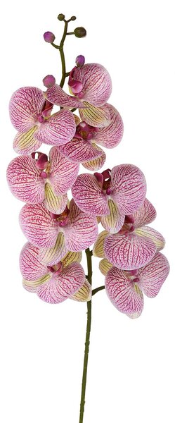 Set 2 Phalenopsis Artificiali con 9 Fiori Altezza 110 cm Viola