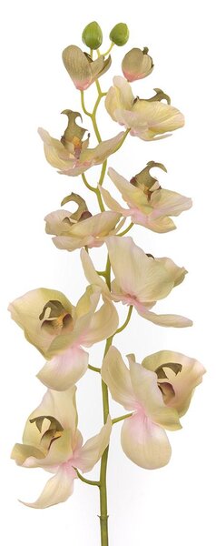 Set 2 Phalaenopsis Artificiale con 10 Fiori Altezza 109 cm Verde