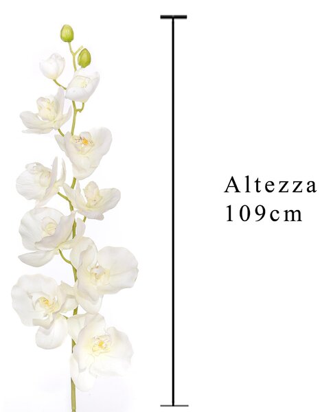 Set 2 Phalaenopsis Artificiale con 10 Fiori Altezza 109 cm