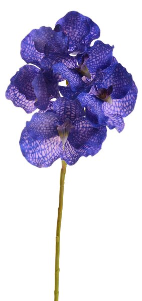 Set 4 Orchidea Artificiali Vanda Altezza 62 cm