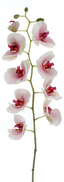 Phalaenopsis Artificiale Altezza 95 cm Bianco