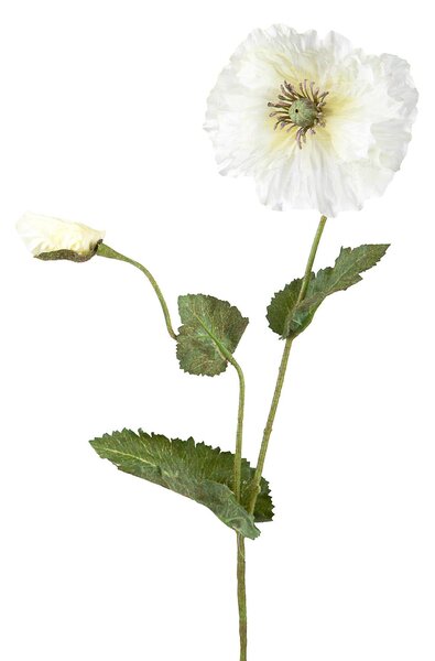 Set 6 Papaveri Artificiale a 2 Diramazioni con Fiori Altezza 73 cm