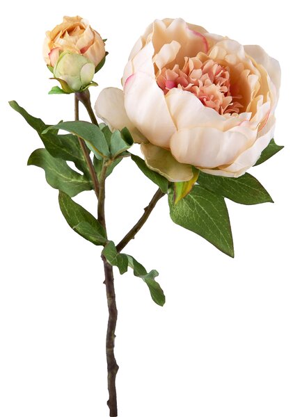 Set 6 Peonia Artificiale Romance con 3 Fiori Altezza 49 cm Beige