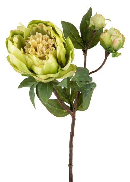 Set 4 Peonia Artificiale Romance con 3 Fiori Altezza 49 cm Verde