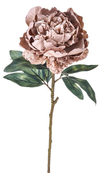Set 4 Peonia Artificiale anticata Singola Altezza 72 cm Beige