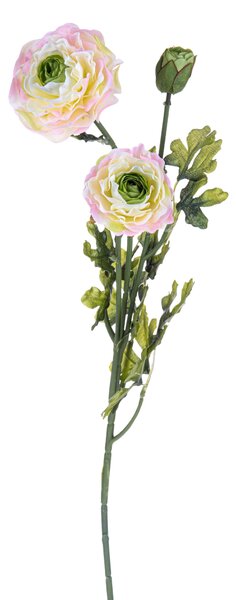 Set 6 Ranuncoli Artificiali Altezza 74 cm Rosa