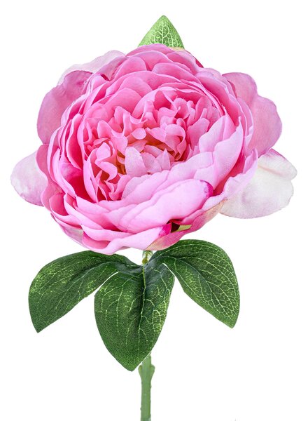 Set 12 Peonia Artificiale Altezza 35 cm Rosa