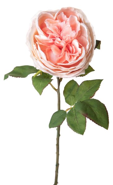 Set 6 Rose Artificiali Cabbage Altezza 49 cm Rosa