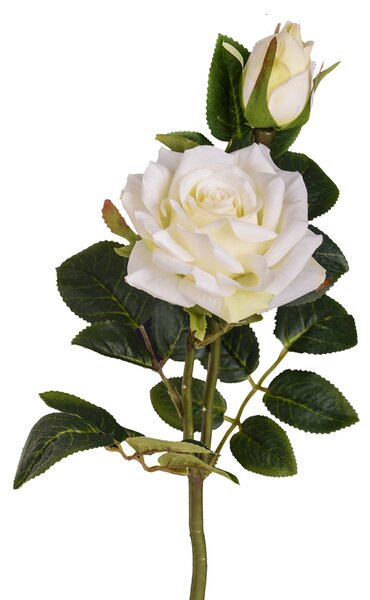 Set 24 Rose X 2 Artificiali con Gambo Corto Altezza 40 cm Bianco
