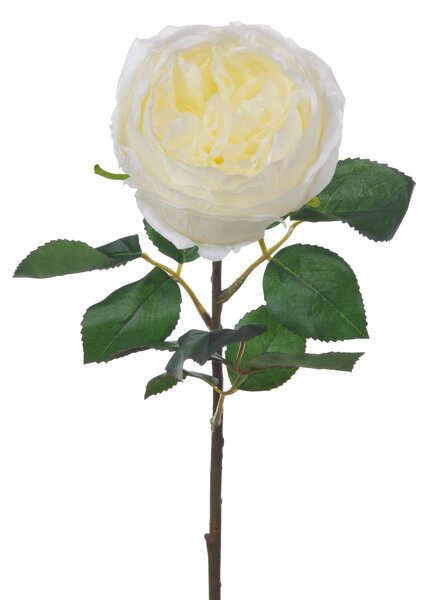 Set 4 Rose Artificiali Cabbage Altezza 49 cm Bianco