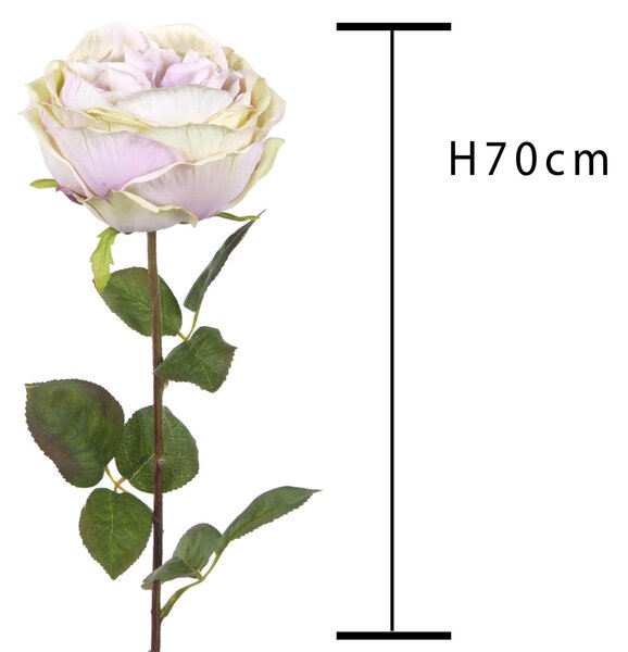 Set 6 Rose Artificiali Cabbage Altezza 49 cm Viola