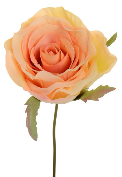 Set 12 Rose Artificiali Testa con Gambo Altezza 10 cm
