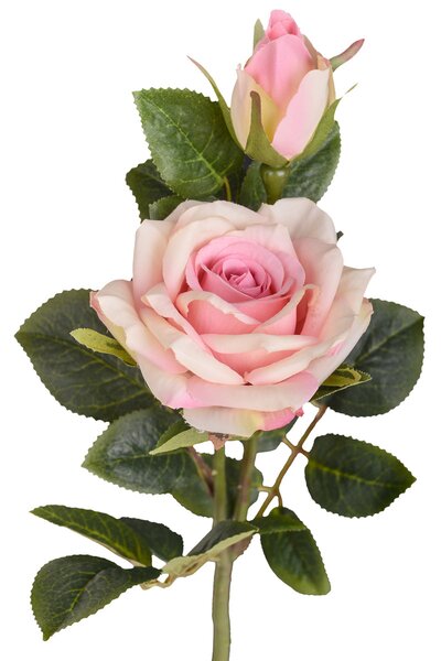 Set 24 Rose X 2 Artificiali con Gambo Corto Altezza 40 cm Rosa