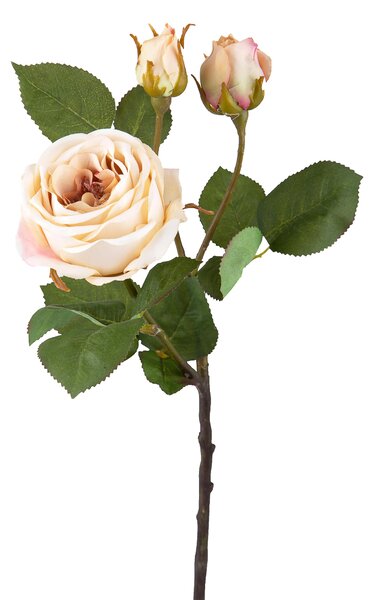 Set 4 Rose Artificiali Romantica a 3 Diramazioni Altezza48 cm Beige