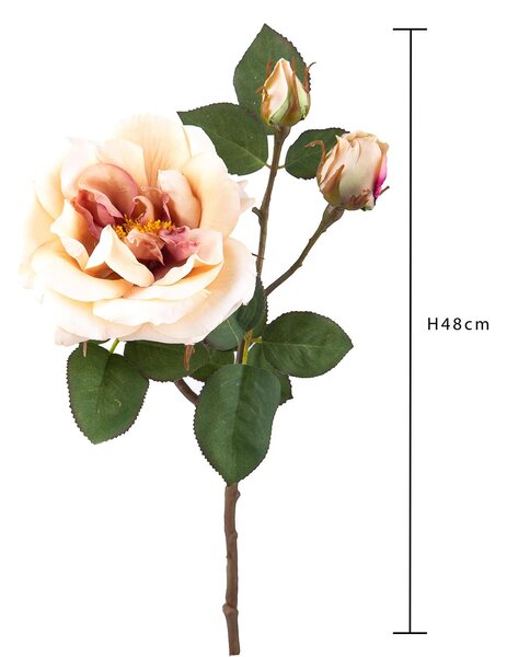 Set 4 Rose Artificiali Inglese Altezza 48 cm Beige