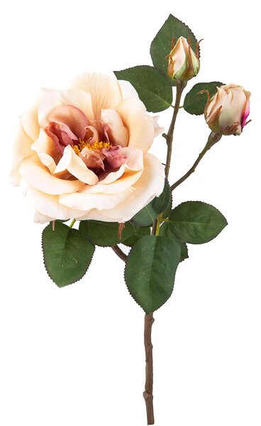 Set 4 Rose Artificiali Inglese Altezza 48 cm Beige