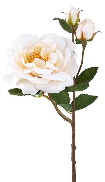 Set 4 Rose Artificiali Inglese Altezza 48 cm