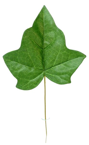 Set 24 Foglia di Edera Artificiale Altezza 30 cm Verde
