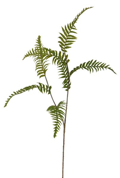 Set 8 Foglie di Felce Artificiale Altezza 73 cm Verde
