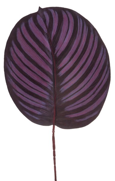 Set 8 Foglie di Cathalea Artificiale Altezza 60 cm Marrone/Ciliegia/Bordeaux