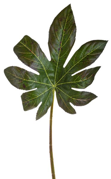 Set 6 Foglie di Aralia Artificiale Altezza 66 cm Verde