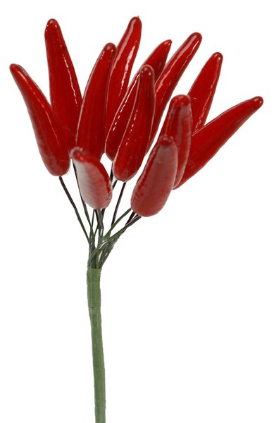 Set 12 Rami Peperoncini Artificiali da 12 Altezza 14,5 cm Rosso