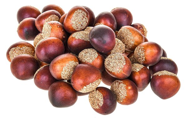 Set 144 Castagne Artificiali per Uso Ornamentale