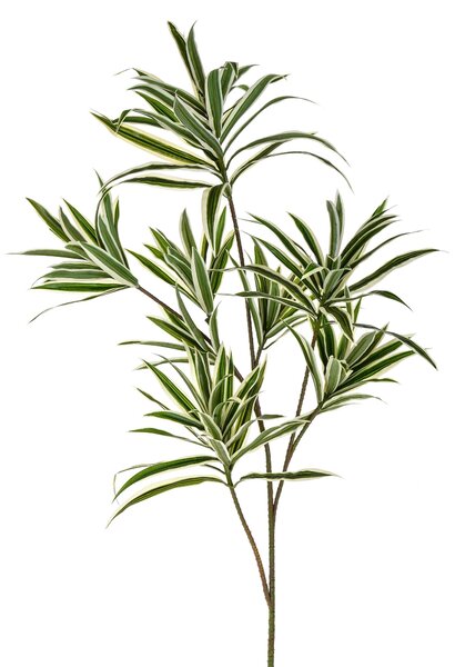 Set 3 Dracena con 141 Foglie Artificiali Altezza 84 cm Verde