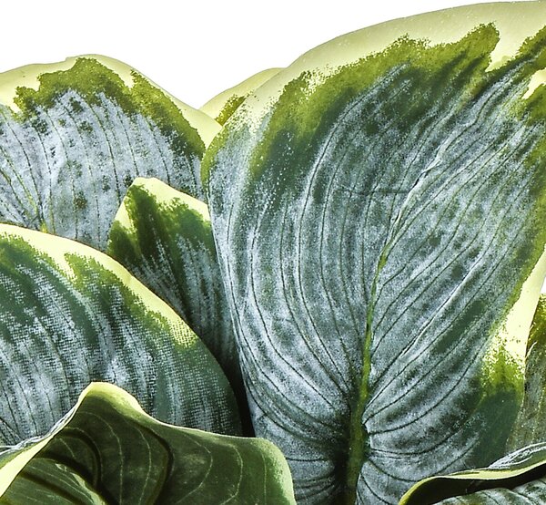 Set 2 Hosta con 18 Foglie Artificiali Altezza 60 cm Multicolore