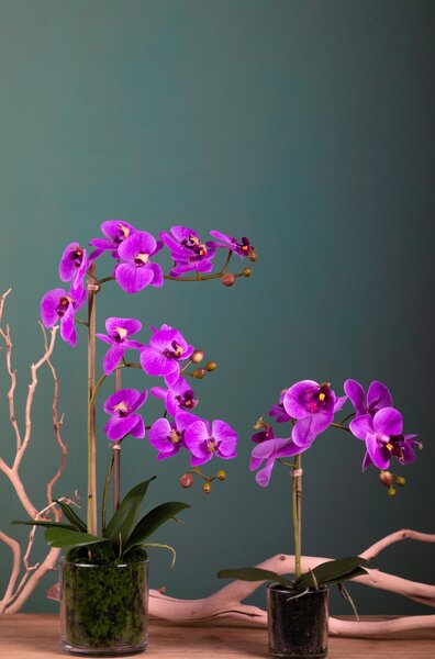 Set 2 Pianta Artificiale di Phalaenopsis Artificiali con Vaso Altezza 38 cm Rosa