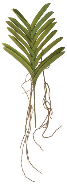 Set 2 Pianta Artificiale Orchidea Artificiali Vanda Altezza 70 cm Verde