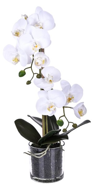 Pianta Artificiale di Phalaenopsis Artificiali con Vaso Altezza 48 cm Bianco