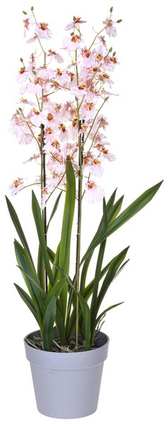 Orchidea Artificiali Oncidium a 3 Diramazioni con Vaso Altezza 45 cm Rosa