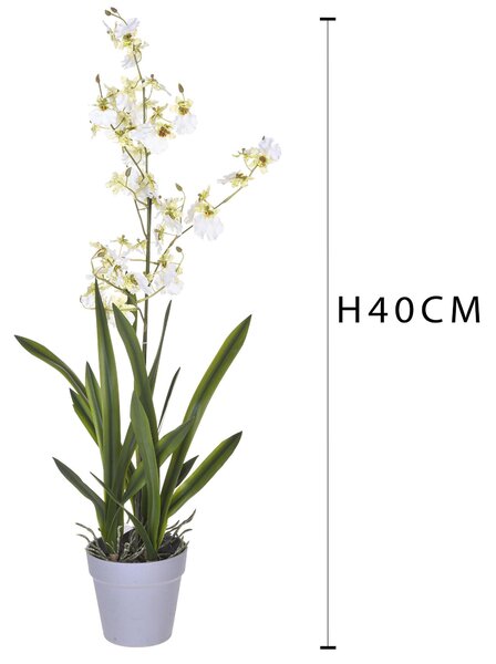Orchidea Artificiali Oncidium con Vaso Altezza 40 cm Bianco