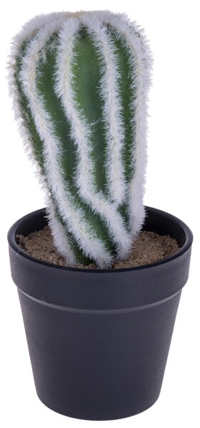 Set 4 Cactus Artificiale con Vaso Altezza 20 cm
