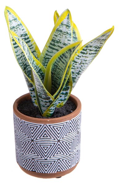 Set 4 Pianta Artificiale di Sanseveria in Vaso Altezza 23 cm Grigio