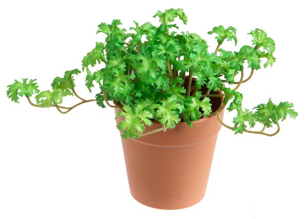 Set 3 Piante di Pelargonium Artificiale in Vaso Composta da 3 Diramazioni Altezza 16 cm Verde