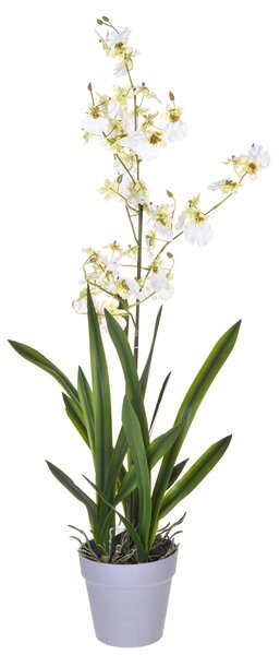 Orchidea Artificiali Oncidium con Vaso Altezza 40 cm Bianco