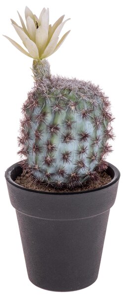 Set 6 Cactus Artificiale con Vaso Altezza 18 cm