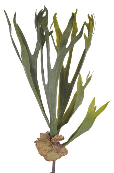 Set 2 Platycerium Artificiale con 5 Diramazioni Altezza 62 cm Verde