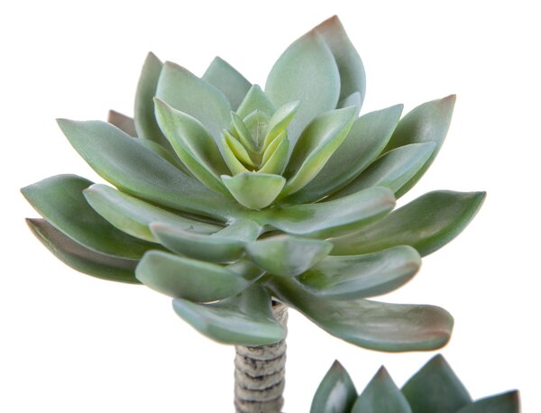 Set 3 Succulent Artificiale a 2 Diramazioni Altezza 22 cm Grigio