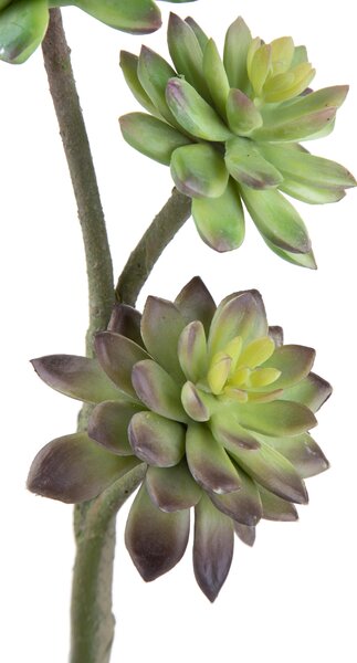 Set 2 Succulent Artificiale a 3 Diramazioni Altezza 50 cm Verde