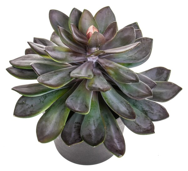 Succulent Artificiale con Vaso Altezza 28 cm Verde