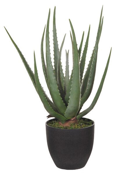 Aloe Artificiale con Vaso, 17 Foglie Altezza 55 cm Verde