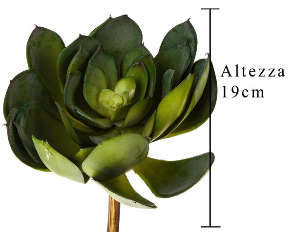 Set 3 Aoenium Cactus Artificiale Altezza 19 cm Verde