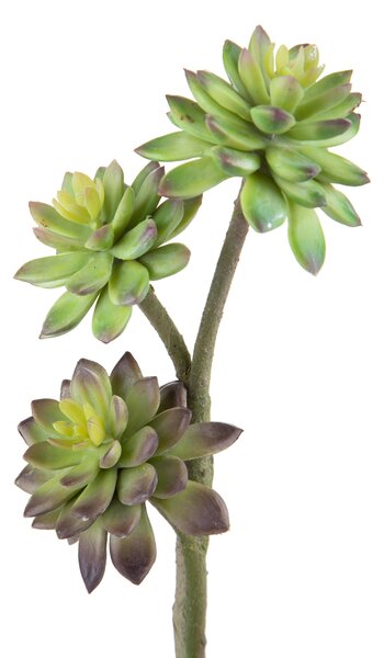 Set 2 Succulent Artificiale a 3 Diramazioni Altezza 50 cm Verde
