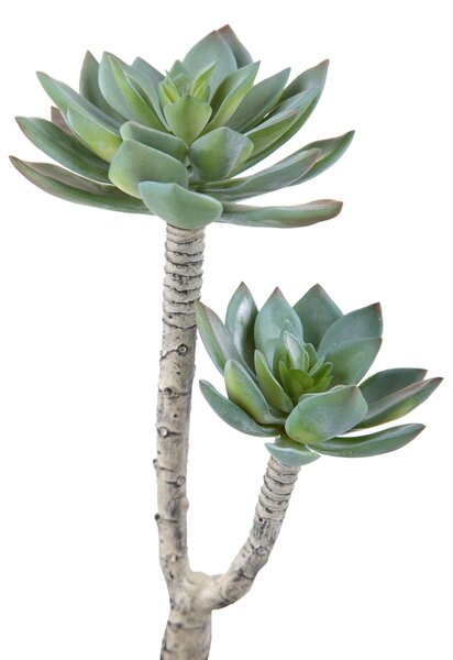 Set 3 Succulent Artificiale a 2 Diramazioni Altezza 22 cm Grigio