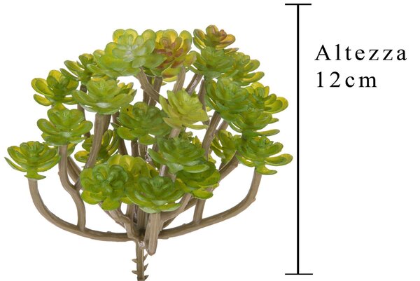 Set 9 Aoenium Succulent Artificiale Altezza 12 cm Verde